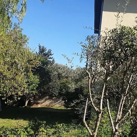 Villa Farigoulette Hyeres Hyères